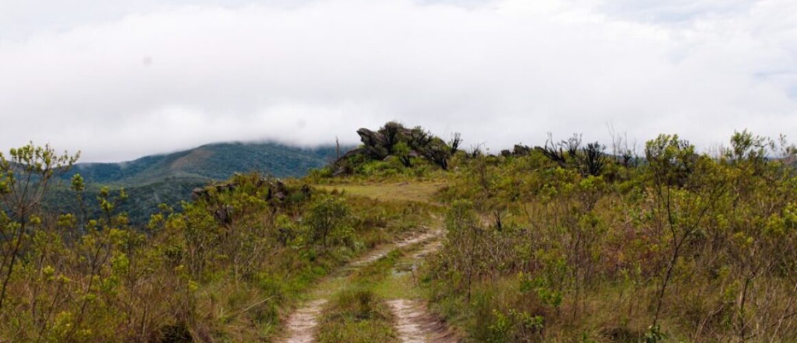 Bory Tucholskie - jak spędzić weekend na łonie natury