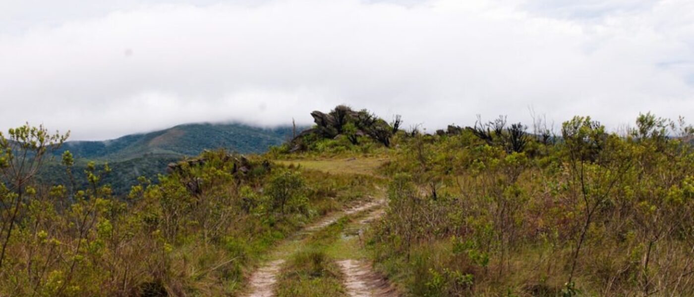 Bory Tucholskie - jak spędzić weekend na łonie natury