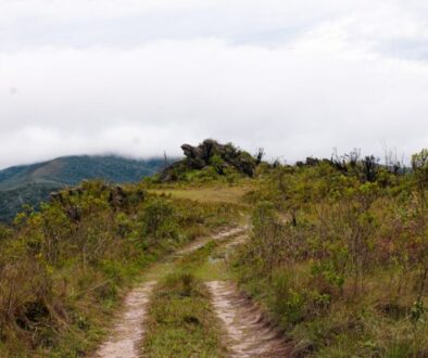 Bory Tucholskie - jak spędzić weekend na łonie natury