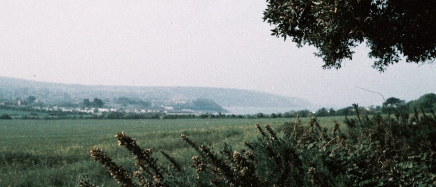 Mierzeja Wiślana - co warto zobaczyć poza plażą