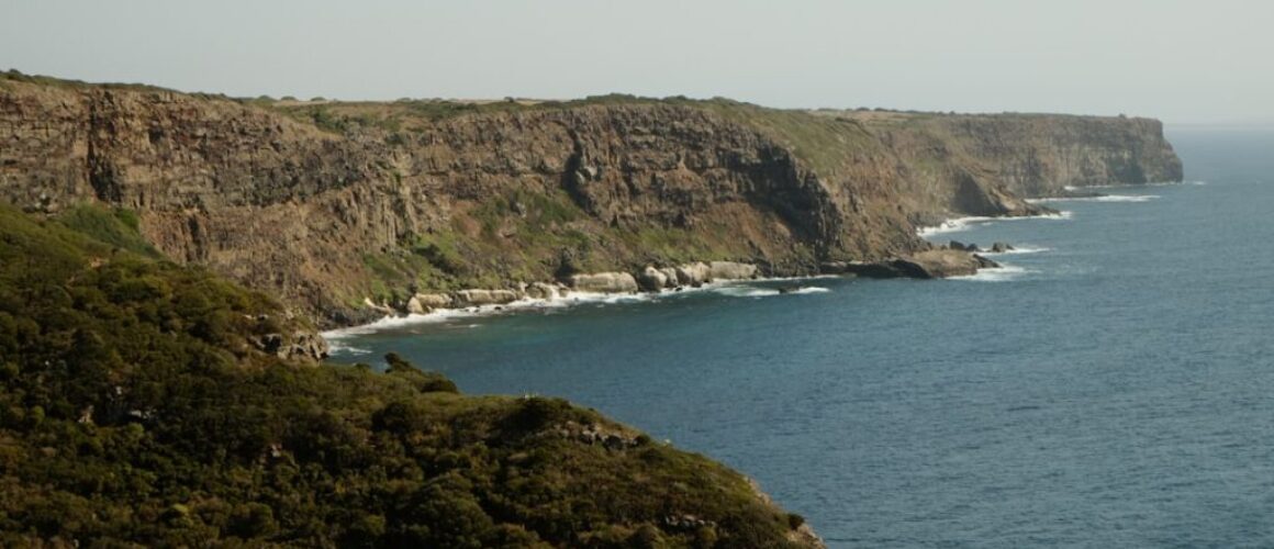 Słowo kluczowe: Wąwóz Chłapowski - co musisz wiedzieć przed wizytą